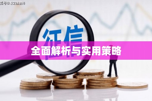 雷州全面解析与实用策略