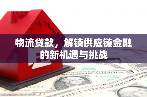 雷州物流贷款，解锁供应链金融的新机遇与挑战