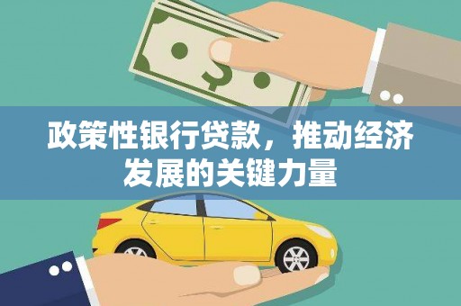 雷州政策性银行贷款，推动经济发展的关键力量