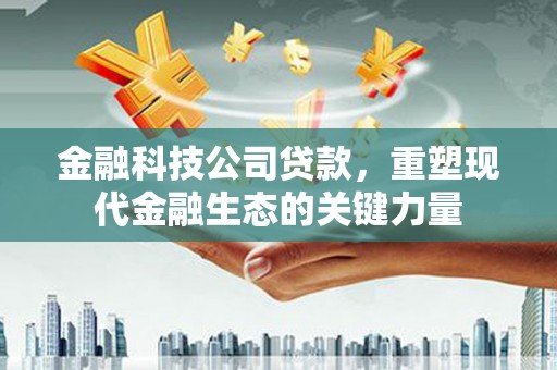 雷州金融科技公司贷款，重塑现代金融生态的关键力量