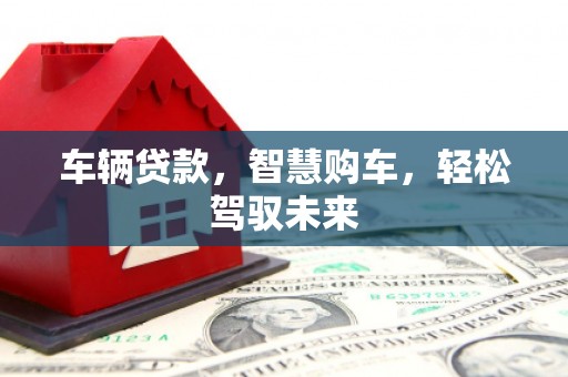 雷州车辆贷款，智慧购车，轻松驾驭未来