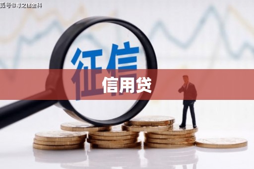 雷州信用贷