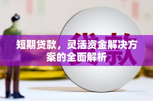 雷州短期贷款，灵活资金解决方案的全面解析