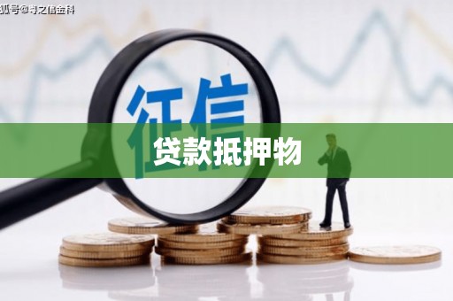 雷州贷款抵押物