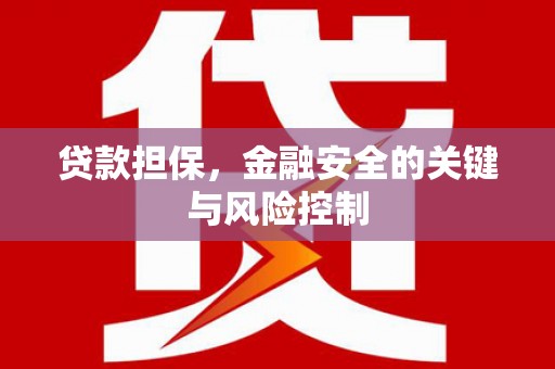 雷州贷款担保，金融安全的关键与风险控制
