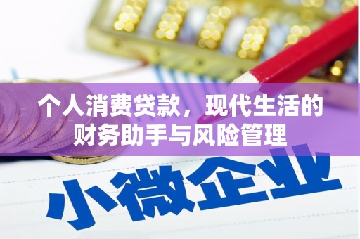 雷州个人消费贷款，现代生活的财务助手与风险管理