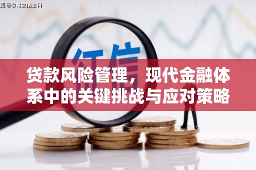 雷州贷款风险管理，现代金融体系中的关键挑战与应对策略