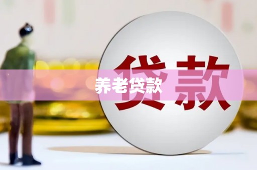 雷州养老贷款