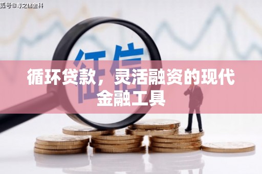 雷州循环贷款，灵活融资的现代金融工具