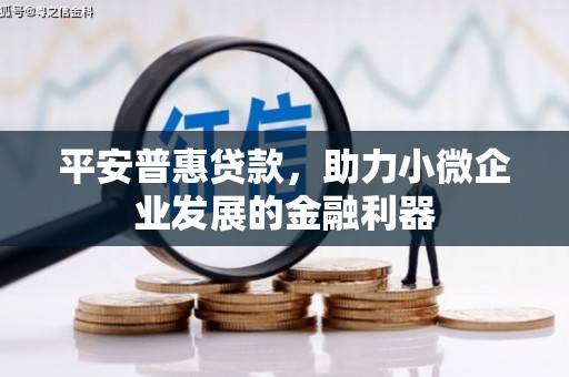 雷州平安普惠贷款，助力小微企业发展的金融利器