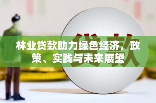 雷州林业贷款助力绿色经济，政策、实践与未来展望