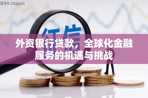 雷州外资银行贷款，全球化金融服务的机遇与挑战