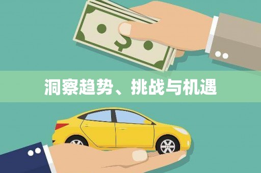 雷州洞察趋势、挑战与机遇