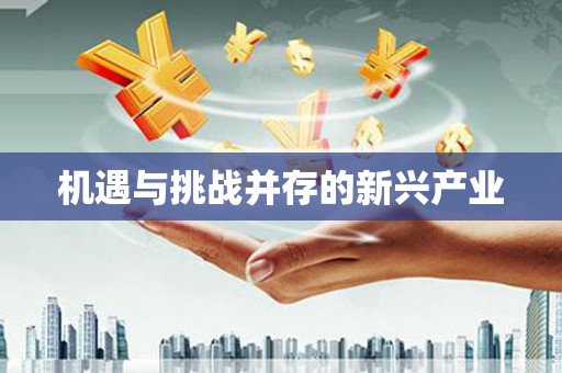 雷州机遇与挑战并存的新兴产业