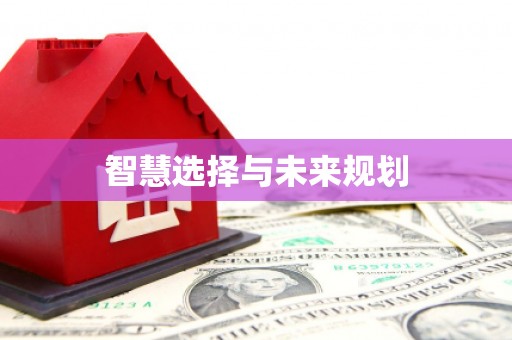 雷州智慧选择与未来规划