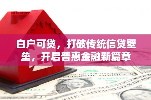 雷州白户可贷，打破传统信贷壁垒，开启普惠金融新篇章