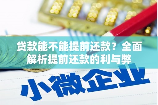 雷州贷款能不能提前还款？全面解析提前还款的利与弊