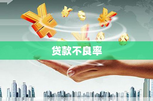 雷州贷款不良率