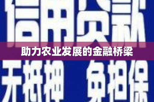 雷州助力农业发展的金融桥梁