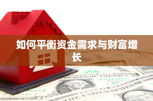 雷州如何平衡资金需求与财富增长
