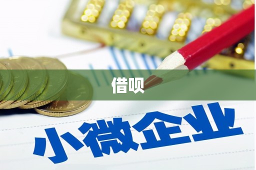 雷州借呗