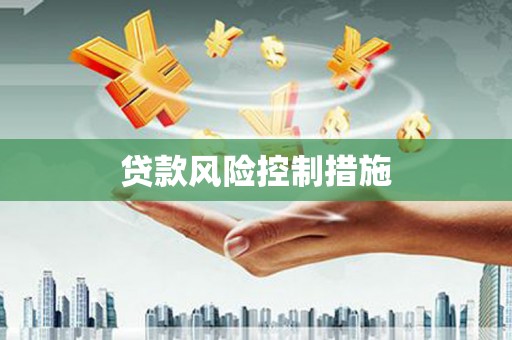 雷州贷款风险控制措施