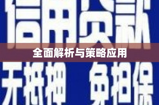雷州全面解析与策略应用