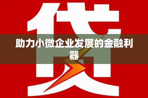 雷州助力小微企业发展的金融利器