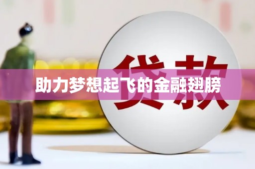 雷州助力梦想起飞的金融翅膀