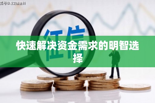 雷州快速解决资金需求的明智选择