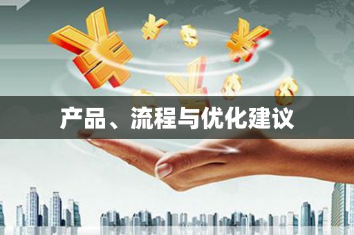雷州产品、流程与优化建议