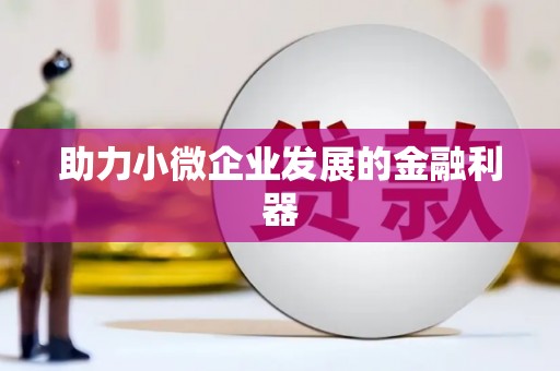 雷州助力小微企业发展的金融利器