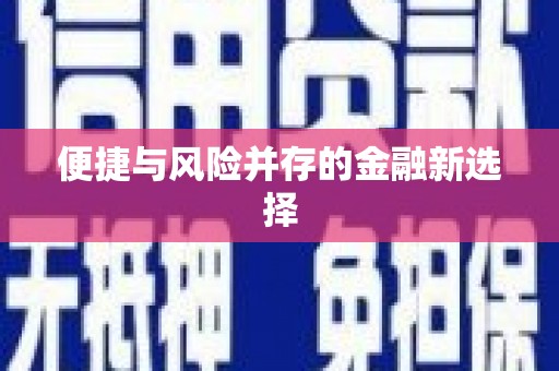 雷州便捷与风险并存的金融新选择