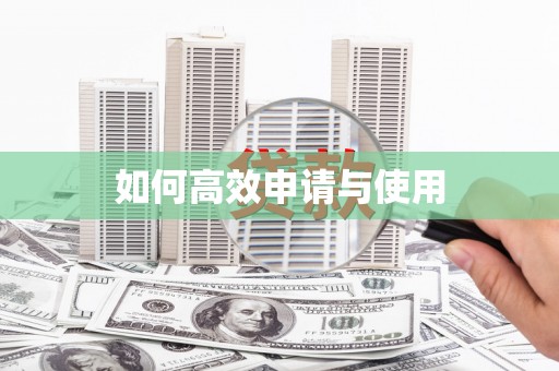 雷州如何高效申请与使用