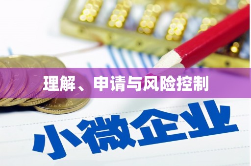 雷州理解、申请与风险控制