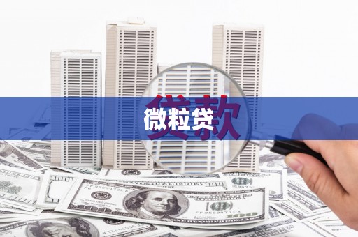 雷州微粒贷
