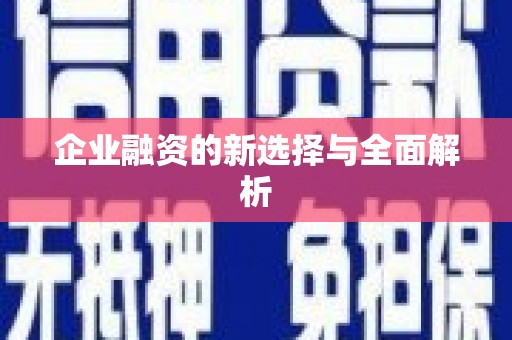 雷州企业融资的新选择与全面解析