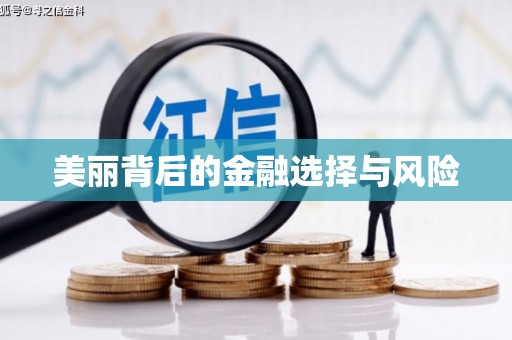 雷州美丽背后的金融选择与风险