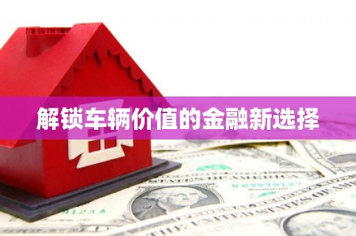 雷州解锁车辆价值的金融新选择