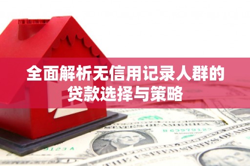 雷州全面解析无信用记录人群的贷款选择与策略