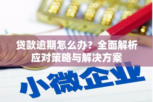雷州贷款逾期怎么办？全面解析应对策略与解决方案