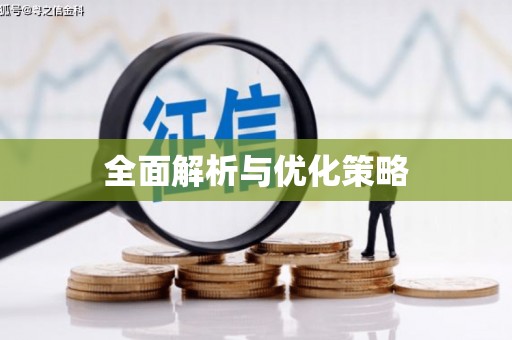 雷州全面解析与优化策略