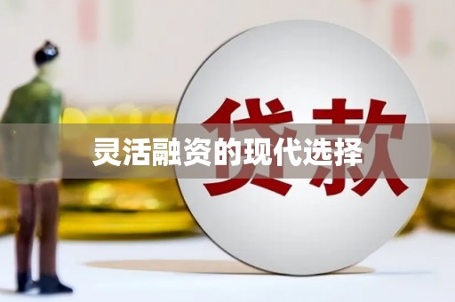 雷州灵活融资的现代选择