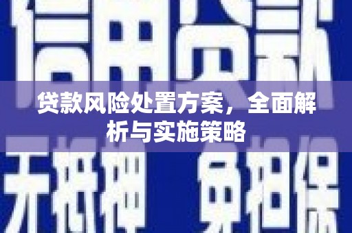 雷州贷款风险处置方案，全面解析与实施策略