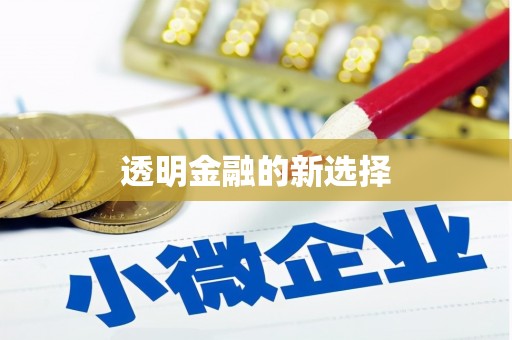 雷州透明金融的新选择