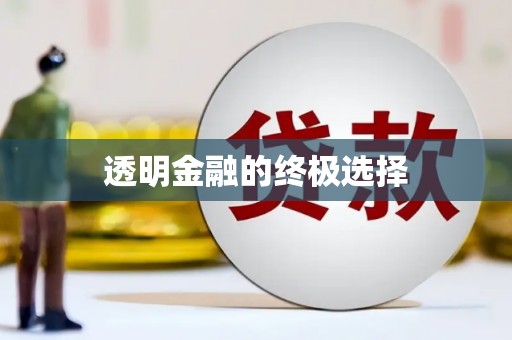 雷州透明金融的终极选择