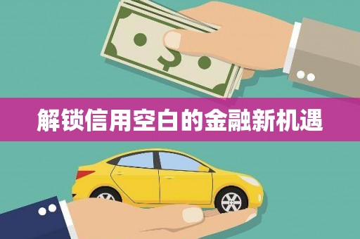 雷州解锁信用空白的金融新机遇