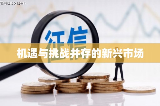 雷州机遇与挑战并存的新兴市场