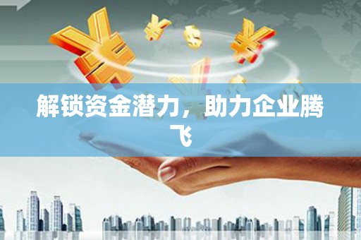 雷州解锁资金潜力，助力企业腾飞