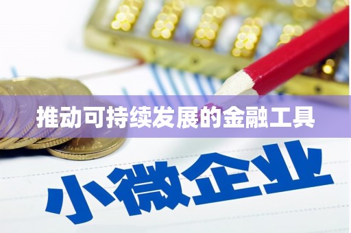 雷州推动可持续发展的金融工具